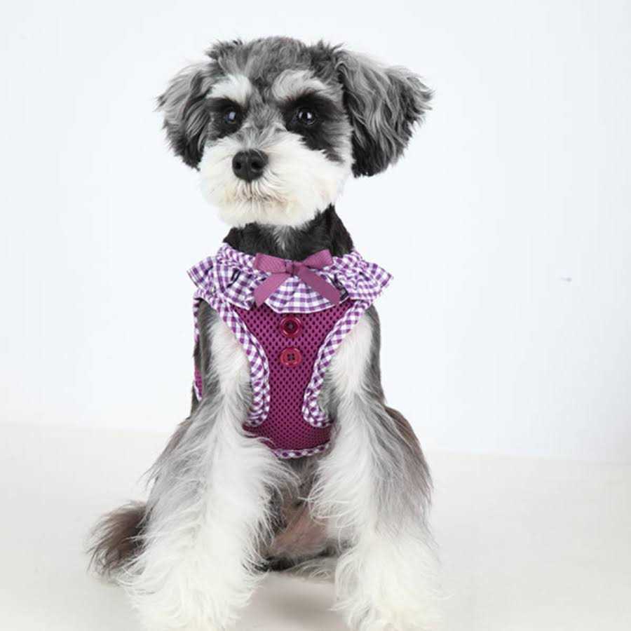 Pet Harness S263