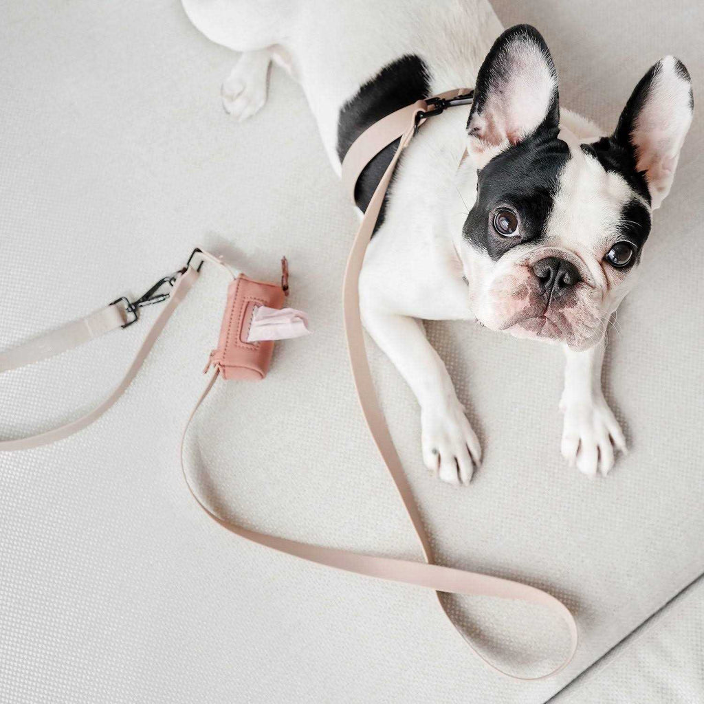 Hands Free Long Dog Leash V2233