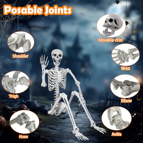 Posable Life Size Skeleton with Movable Joints E64200