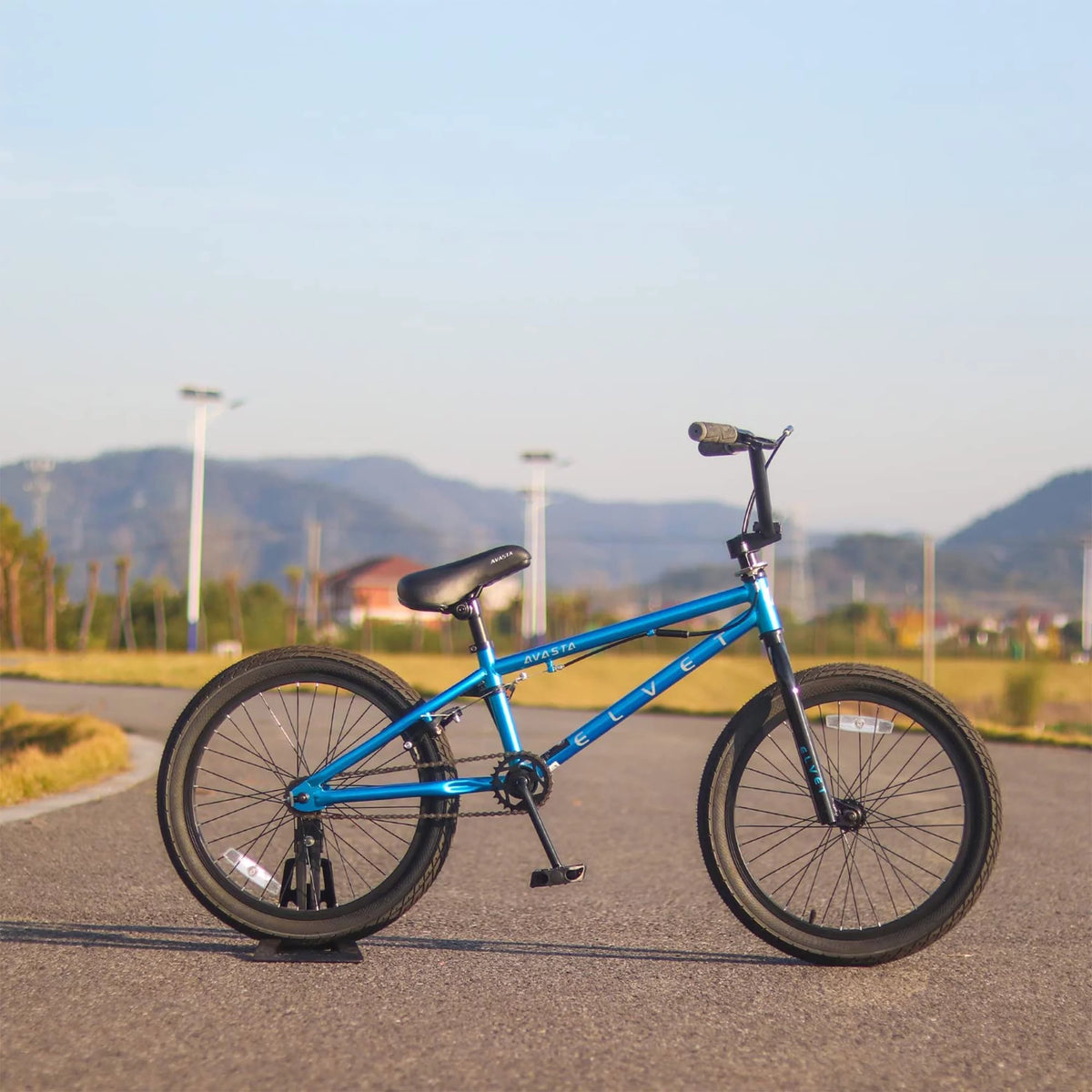 20 Inch Blue Kid BMX Bicycle J20600