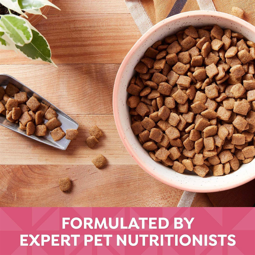 Grain Free Salmon Sweet Potato & Pumpkin Dry Dog Food M799892
