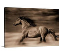 Canvas 40x22 Print M25039