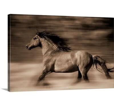 Canvas 40x22 Print M25039