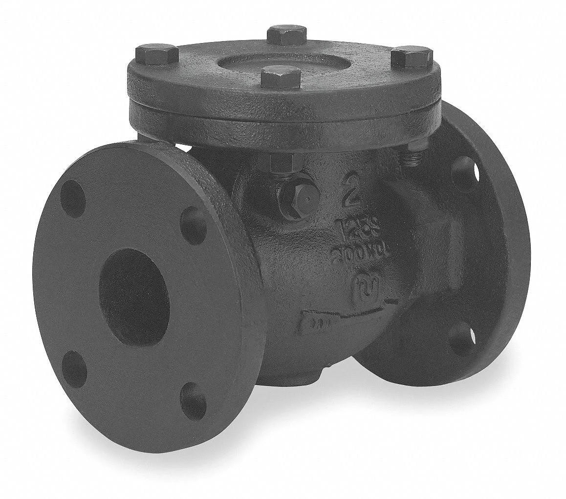 Cast Iron 5 in Flanged Swing Check Valve J383