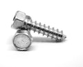 Sheet Metal Screw Indented Hex Head Zinc Plated H483877
