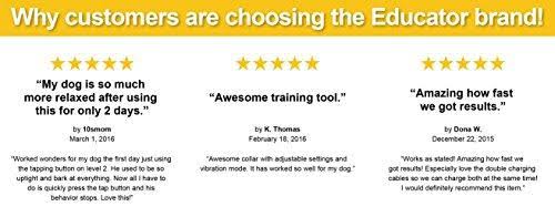 Mini 1/2 Mile Remote Dog Training Collar with Vibration U622398