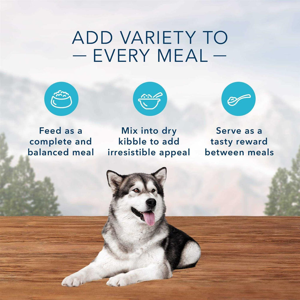 High Protein Beef & Salmon Adult Wet Dog Food Variety Pack Grain-Free D89796