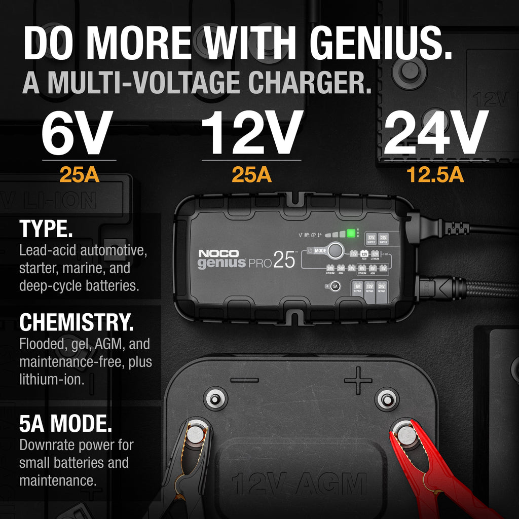 6V/12V/24V Smart Battery Charger and Maintainer P6162