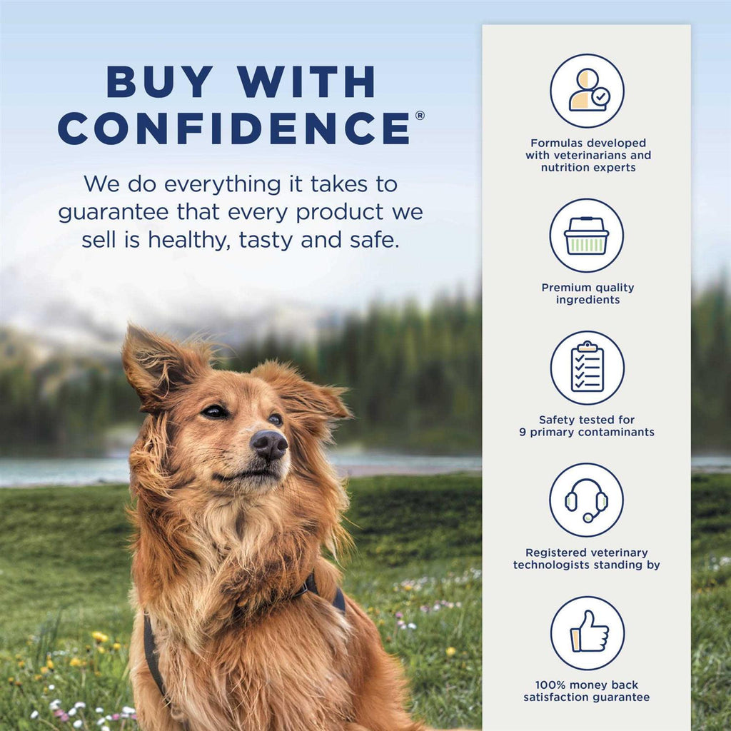 Grain Free Salmon & Sweet Potato Small Breed Dry Dog Food W597029