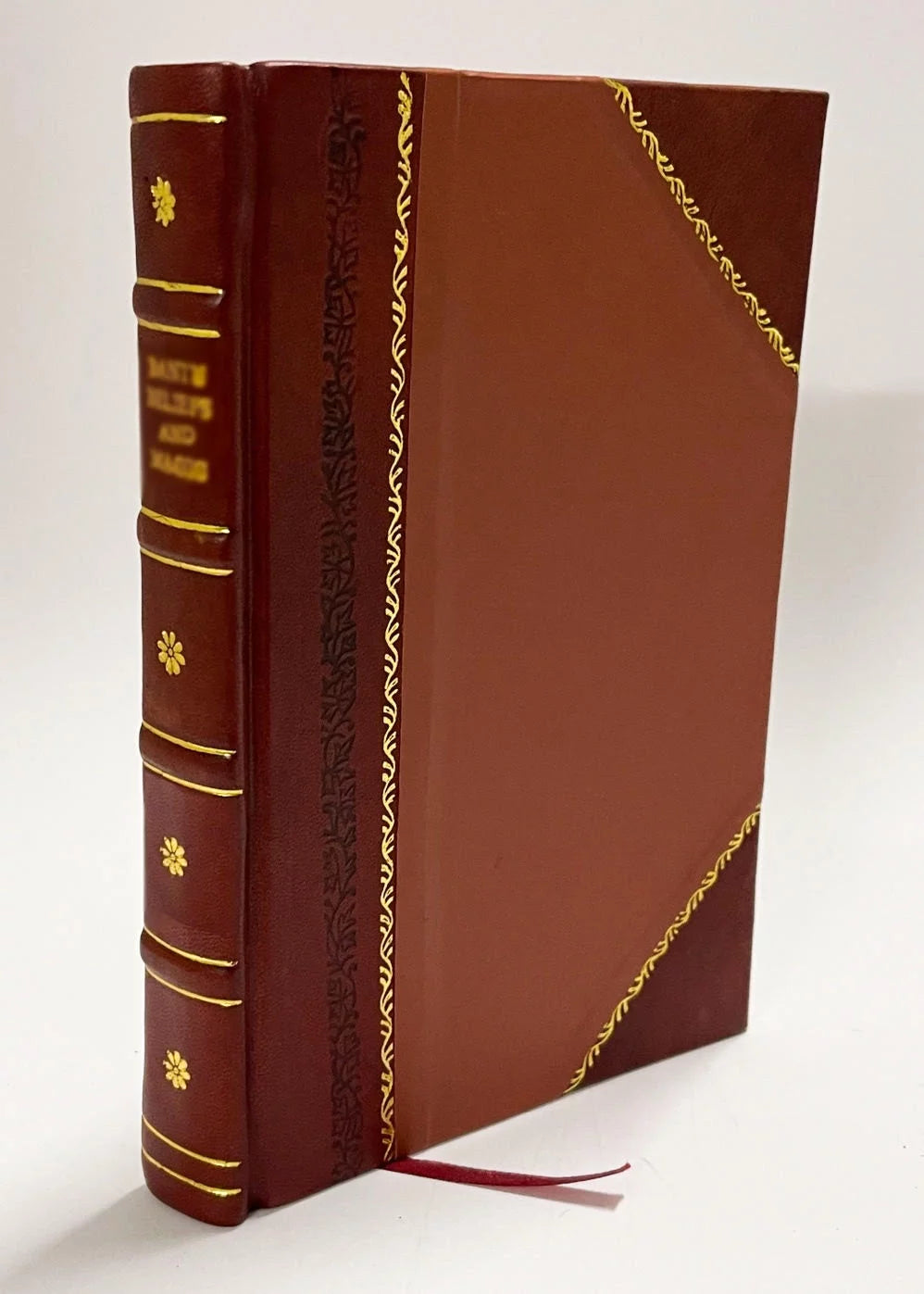 Hertzliche Anmerkungen Zu Gott / Blasius Palma (1638) [Leather Bound] I2495