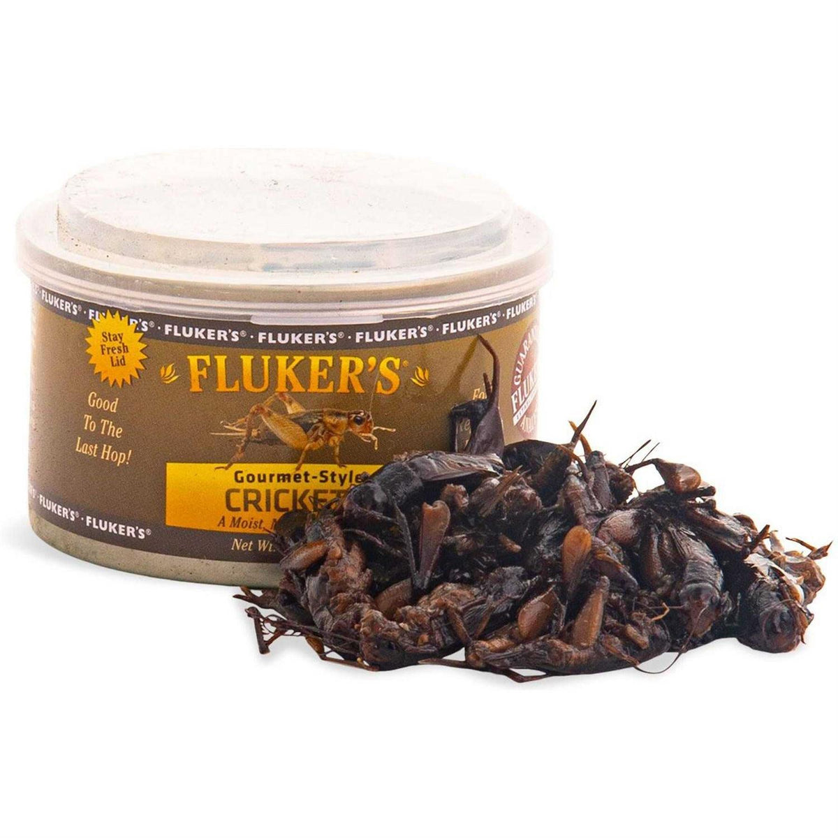 Canned Crickets A685640