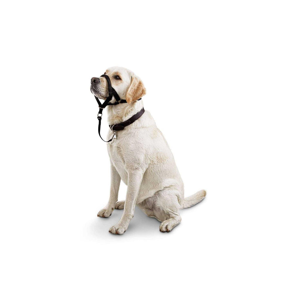 Head Halter A17839