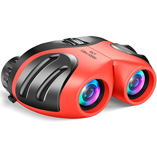 Compact Shockproof Binoculars Y9380