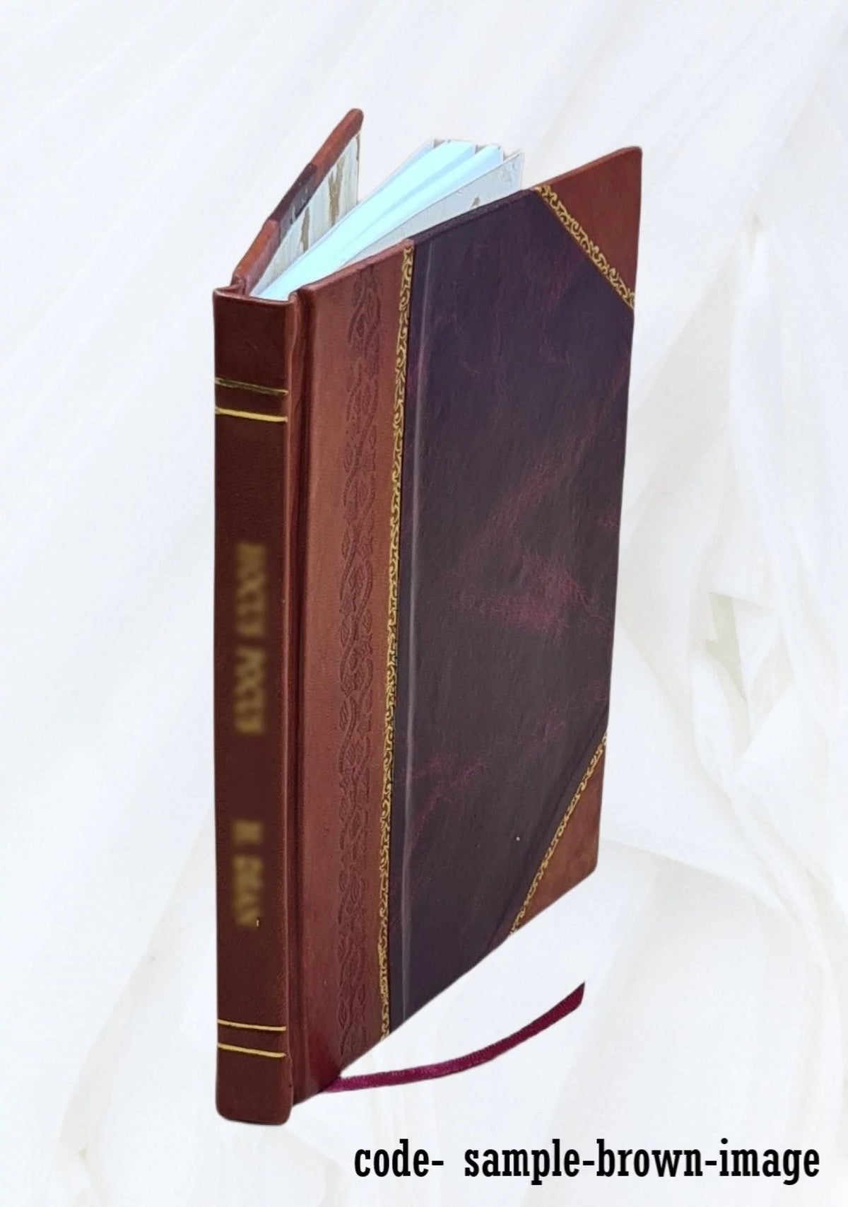 1925 Leather Bound X684