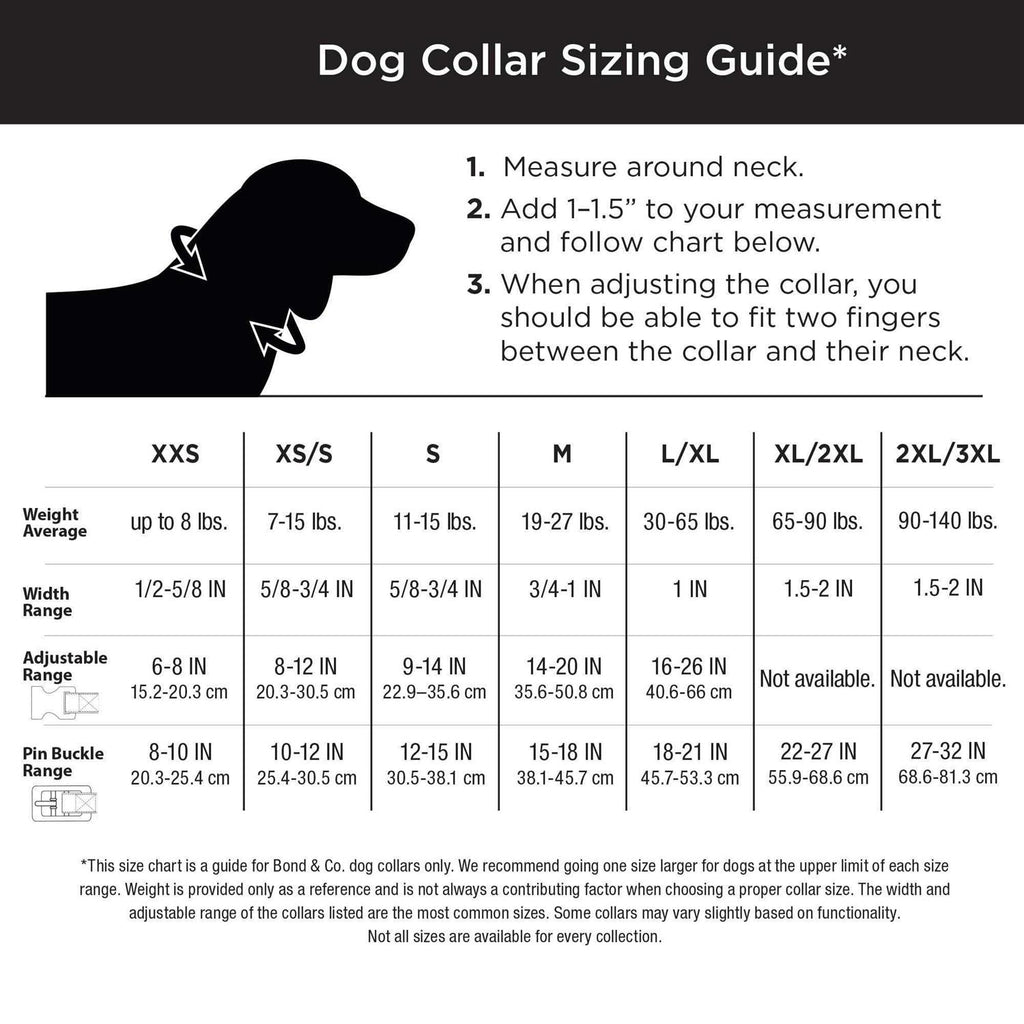 Adjustable Dog Collar Q41568