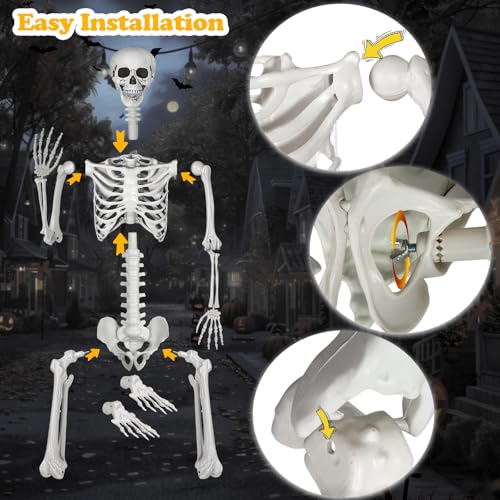 Posable Life Size Skeleton with Movable Joints E64200