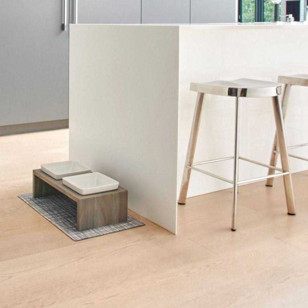 Double Dog Feeder Z9181