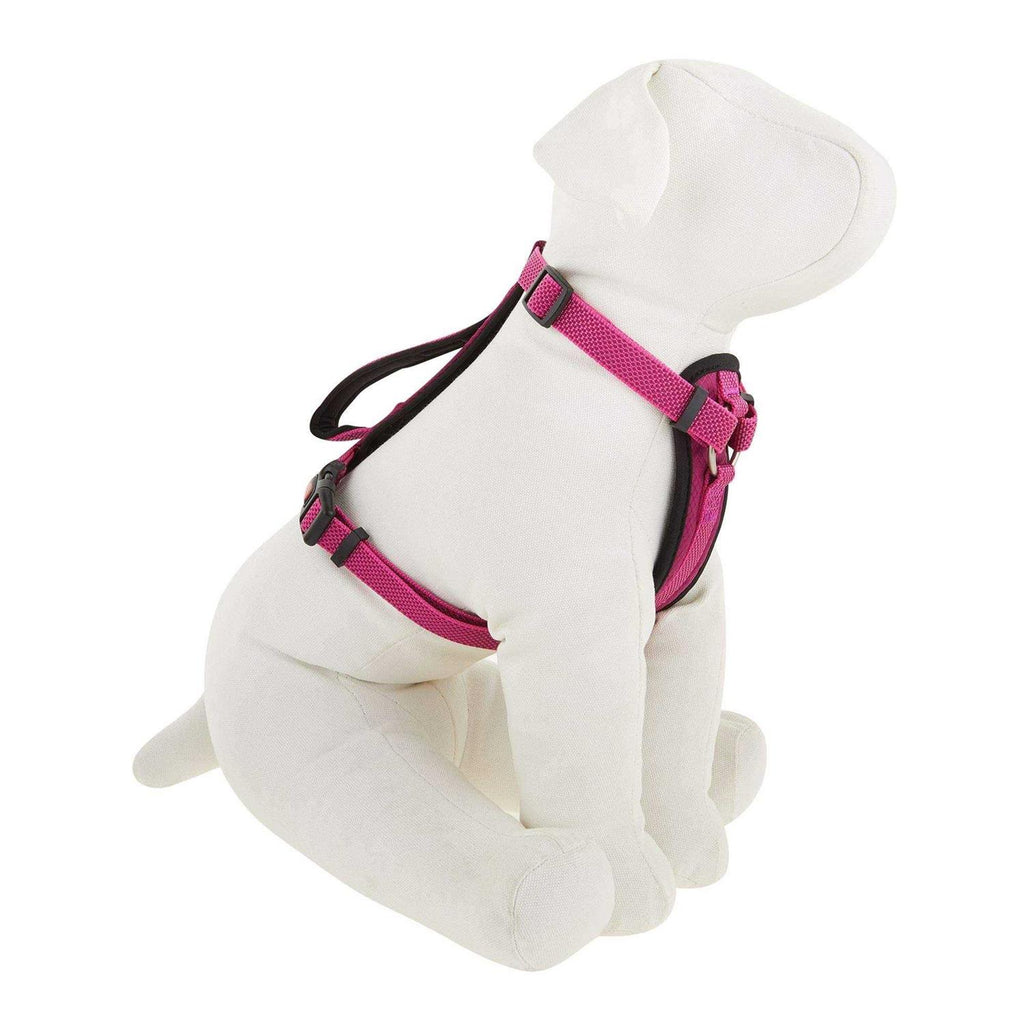 Padded Dog Harness W241217