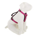 Padded Dog Harness W241217