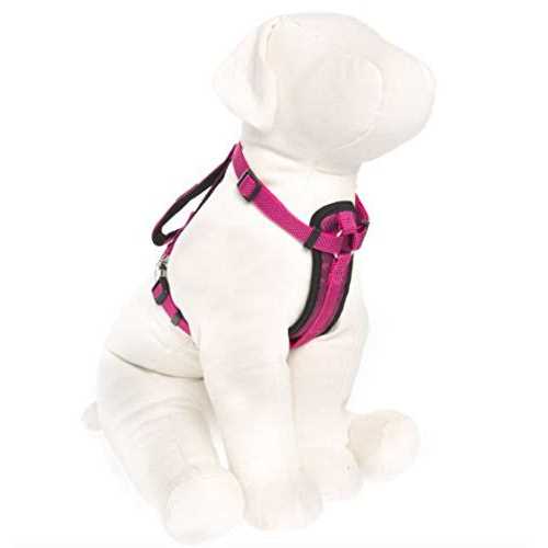 Padded Dog Harness W241217