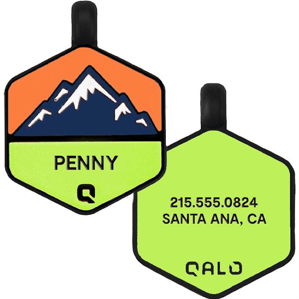 Silicone Dog ID Tag K34219