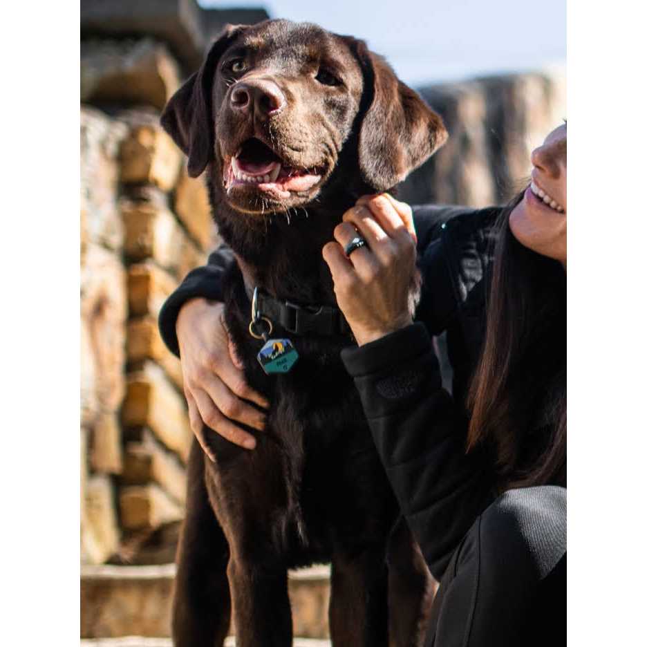 Silicone Dog ID Tag K34219