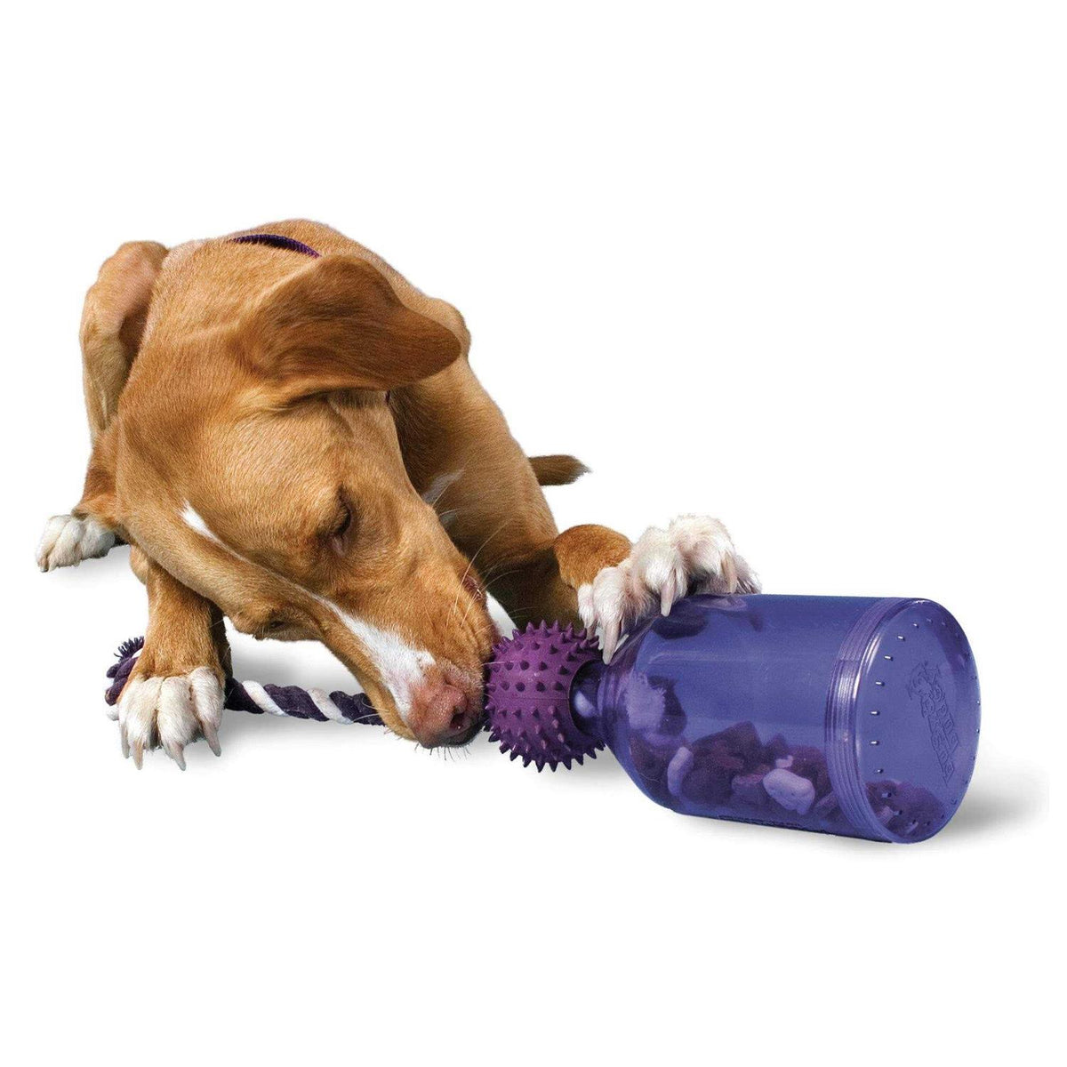 Pet Supplies X5642