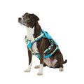 LED Dog Harness L155169