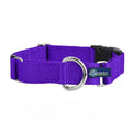 Martingale Dog Collar J520