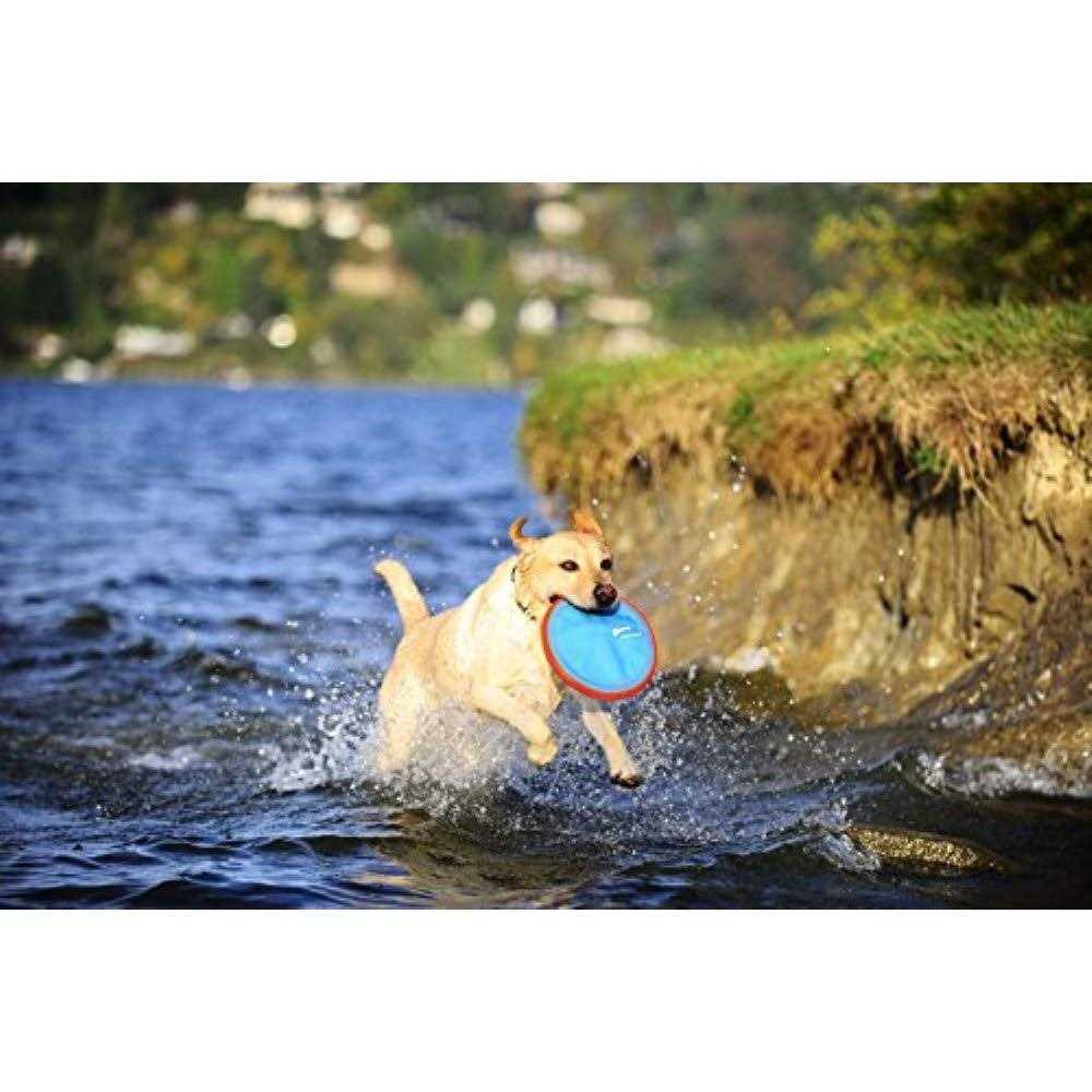 Dog Toy W7931