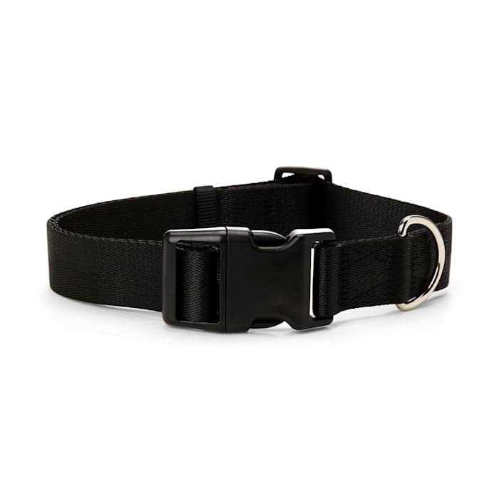 Adjustable Dog Collar Q41568