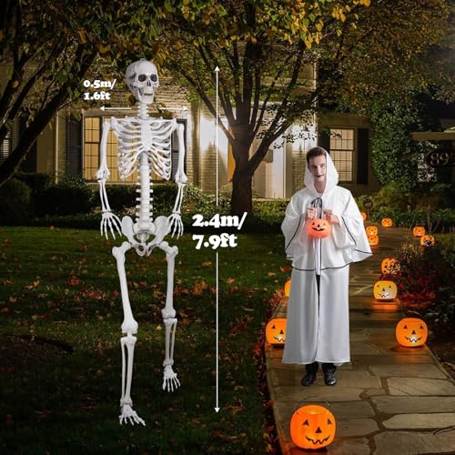 Posable Life Size Skeleton with Movable Joints E64200