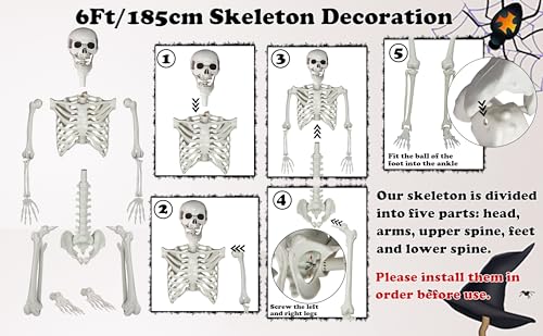 Posable Life Size Skeleton with Movable Joints E64200