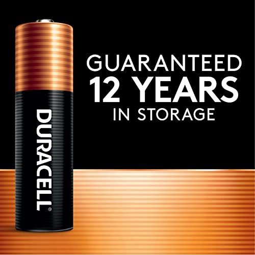 AA Alkaline Batteries 20 Count G745