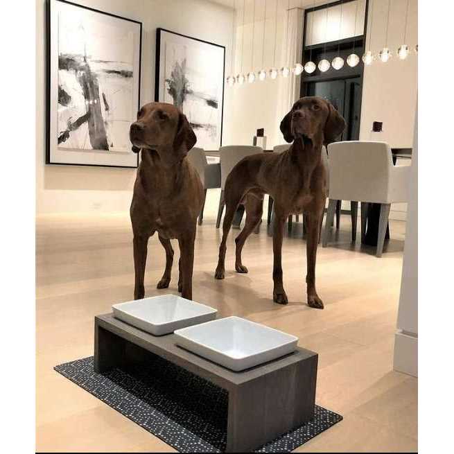 Double Dog Feeder Z9181
