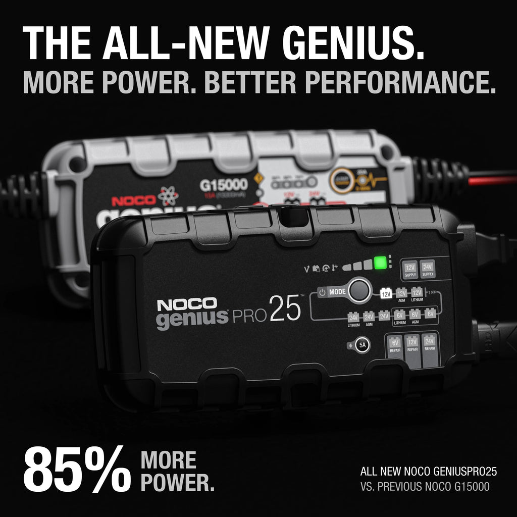 6V/12V/24V Smart Battery Charger and Maintainer P6162