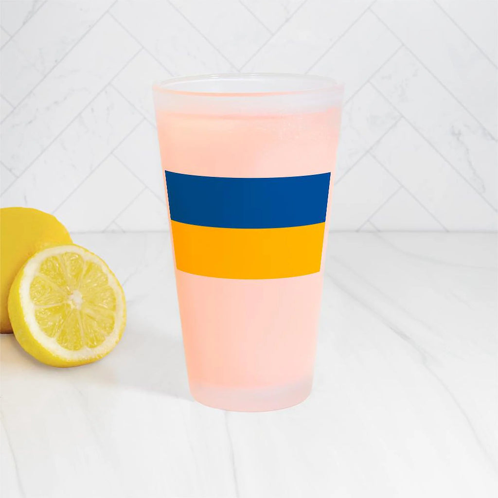 Flag Of Ukraine 16 oz Pint Glass X720