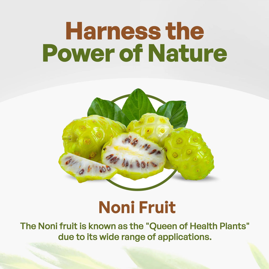 Organic Noni Fruit Powder 16 oz W7596