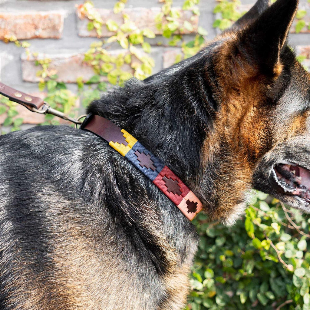 Leather Hand-Stitched Polo Dog Collar H512735