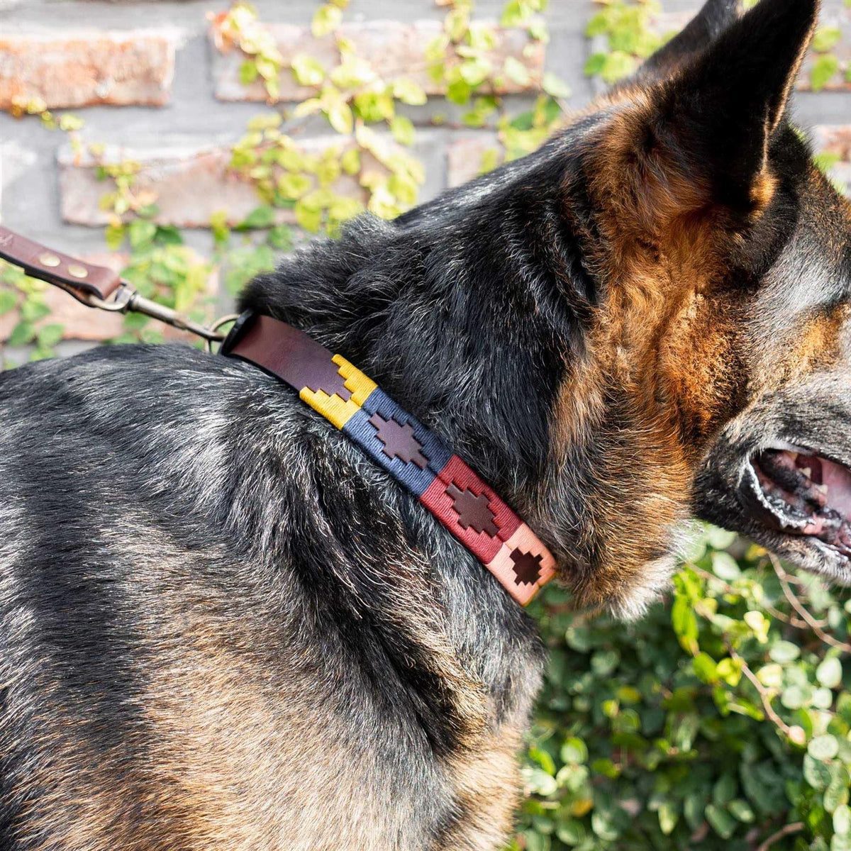 Leather Hand-Stitched Polo Dog Collar H512735