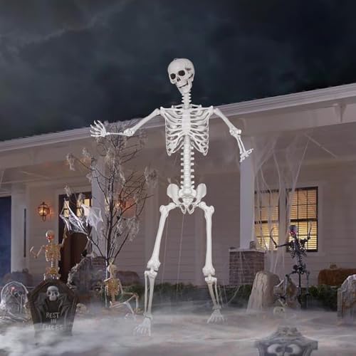 Posable Life Size Skeleton with Movable Joints E64200