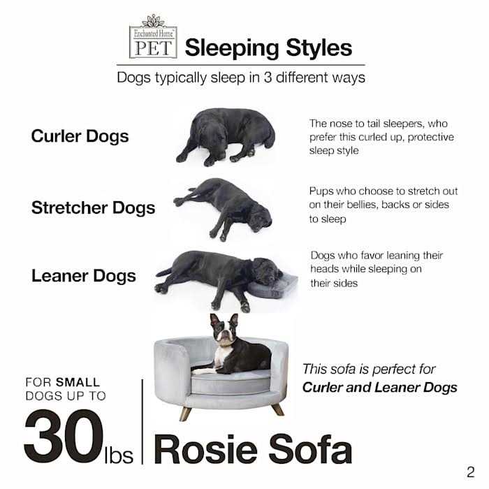 Pet Sofa V29420