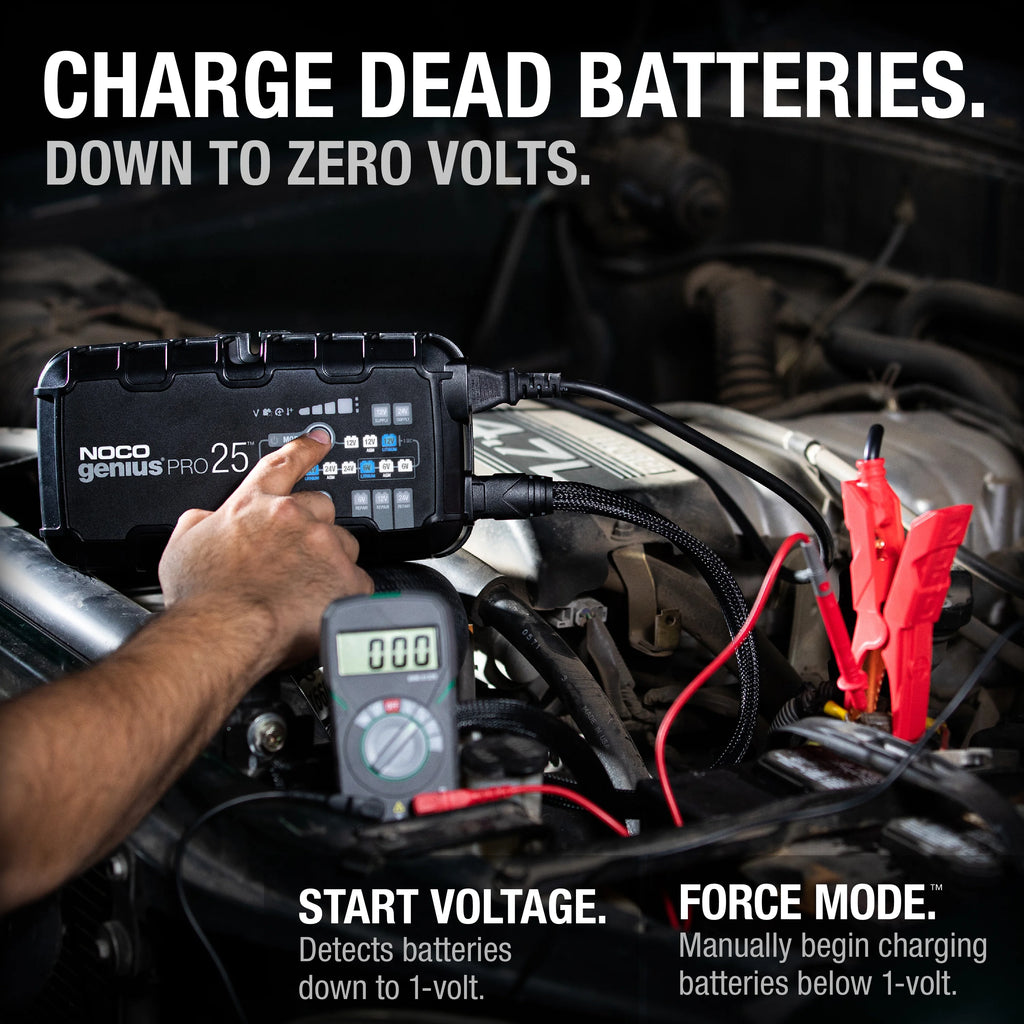6V/12V/24V Smart Battery Charger and Maintainer P6162