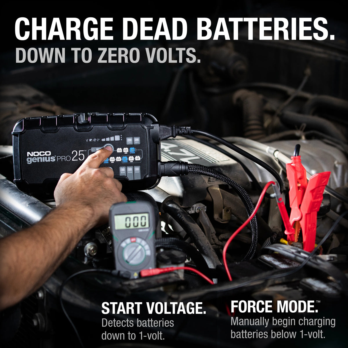 6V/12V/24V Smart Battery Charger and Maintainer P6162