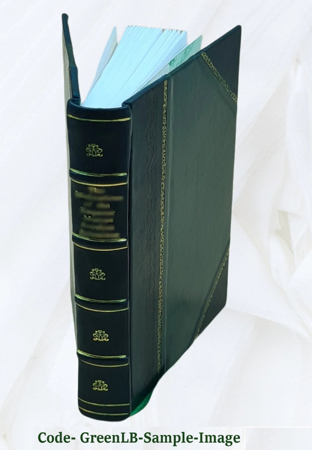Leather Bound Book V280