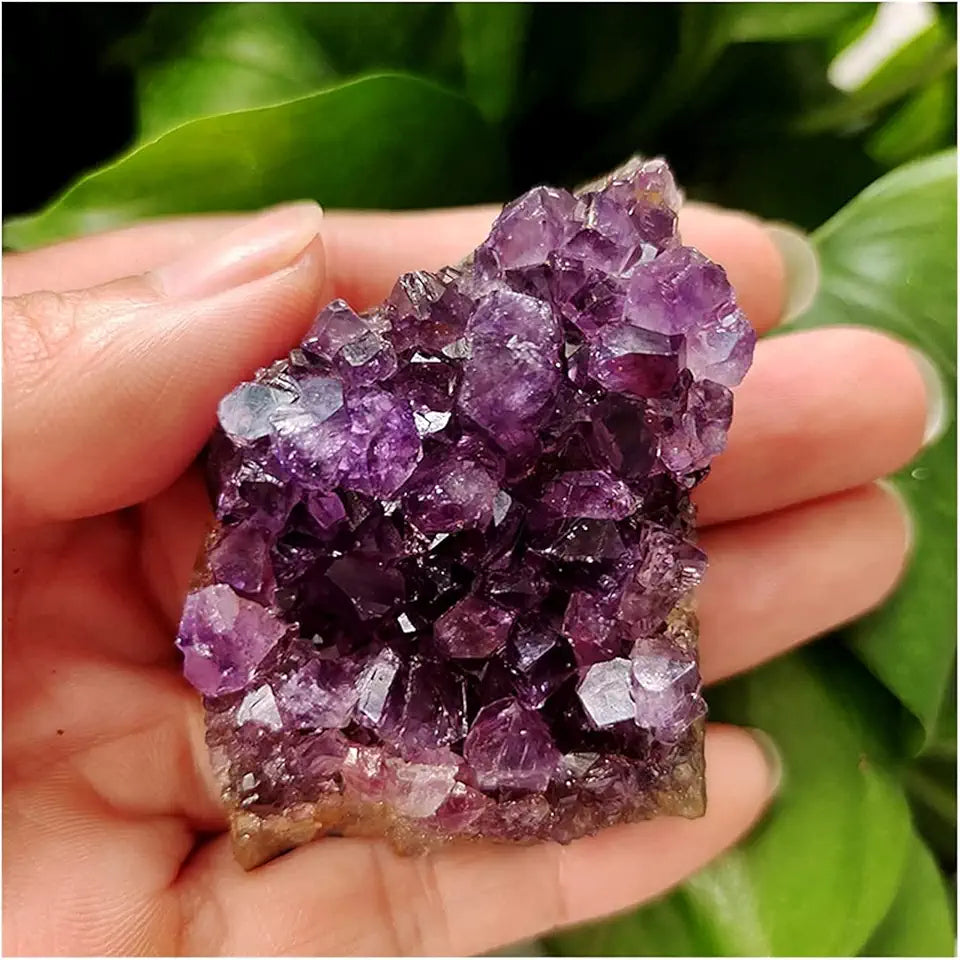 Amethyst Crystal Cluster Q860826