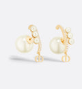 Earrings W9824