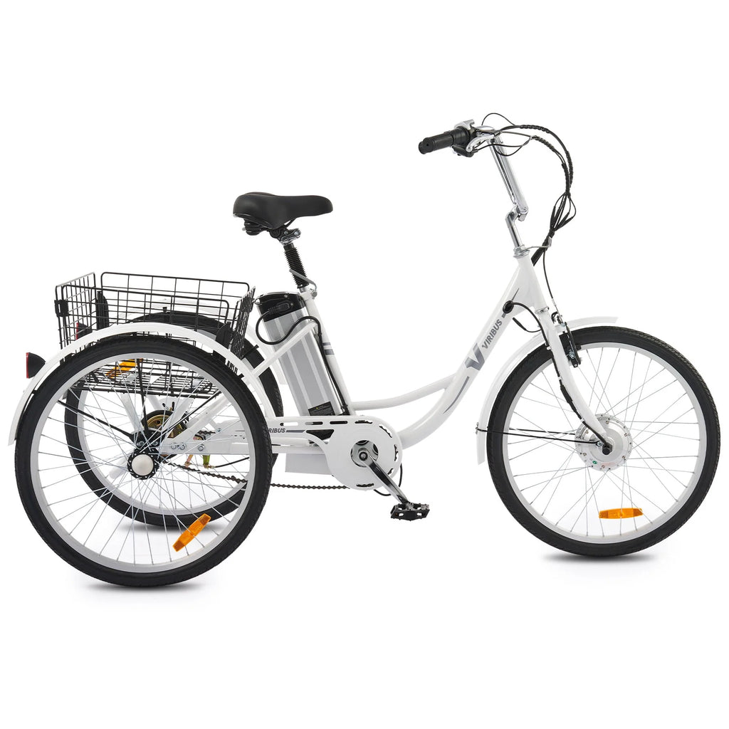 Electric Tricycle 250W Black P453